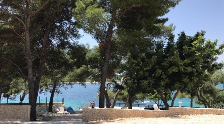 Macola * Trogir