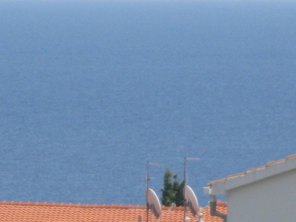 Macola